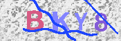キャプチャ画像
