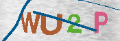 キャプチャ画像