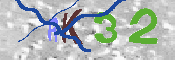 キャプチャ画像