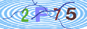キャプチャ画像