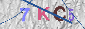 キャプチャ画像