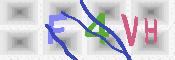 キャプチャ画像