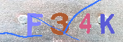 キャプチャ画像