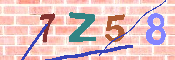 キャプチャ画像