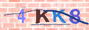 キャプチャ画像