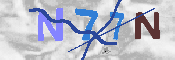 キャプチャ画像