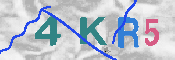 キャプチャ画像