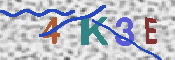 キャプチャ画像