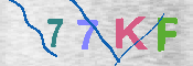 キャプチャ画像