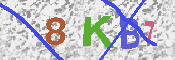 キャプチャ画像