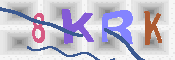 キャプチャ画像