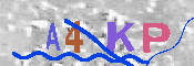 キャプチャ画像