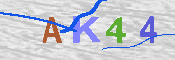 キャプチャ画像