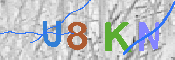 キャプチャ画像