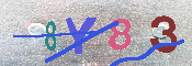 キャプチャ画像