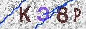 キャプチャ画像