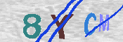 キャプチャ画像