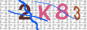 キャプチャ画像