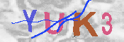キャプチャ画像