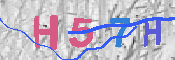 キャプチャ画像