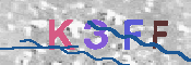 キャプチャ画像