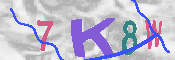 キャプチャ画像
