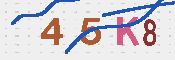 キャプチャ画像