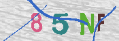 キャプチャ画像