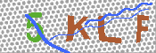 キャプチャ画像