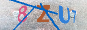 キャプチャ画像