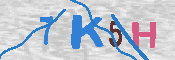 キャプチャ画像