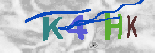キャプチャ画像