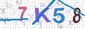 キャプチャ画像