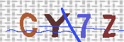 キャプチャ画像