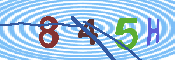 キャプチャ画像