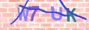 キャプチャ画像