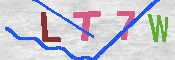 キャプチャ画像