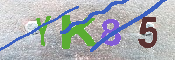 キャプチャ画像