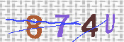 キャプチャ画像
