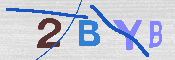 キャプチャ画像