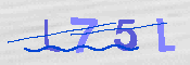 キャプチャ画像