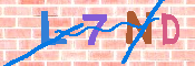 キャプチャ画像