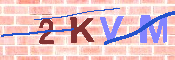 キャプチャ画像