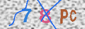 キャプチャ画像