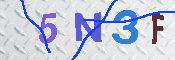 キャプチャ画像
