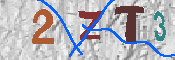 キャプチャ画像