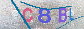 キャプチャ画像
