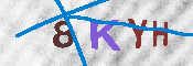 キャプチャ画像