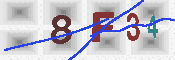 キャプチャ画像