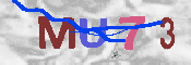 キャプチャ画像